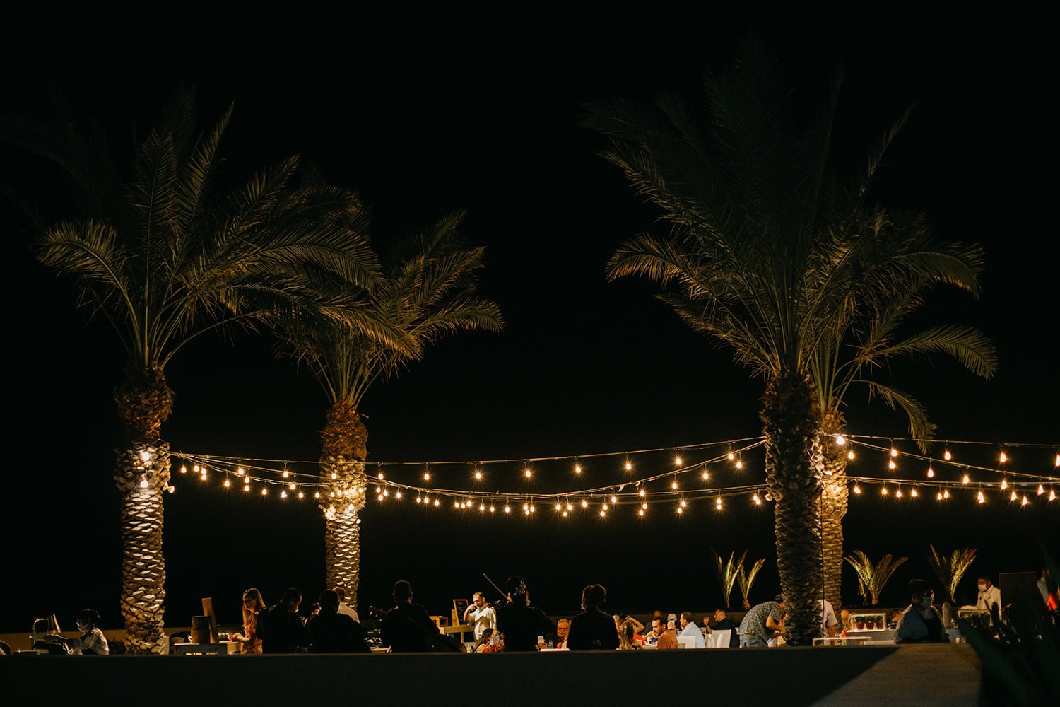 Elegant outdoor wedding setup with string lights and palm trees.