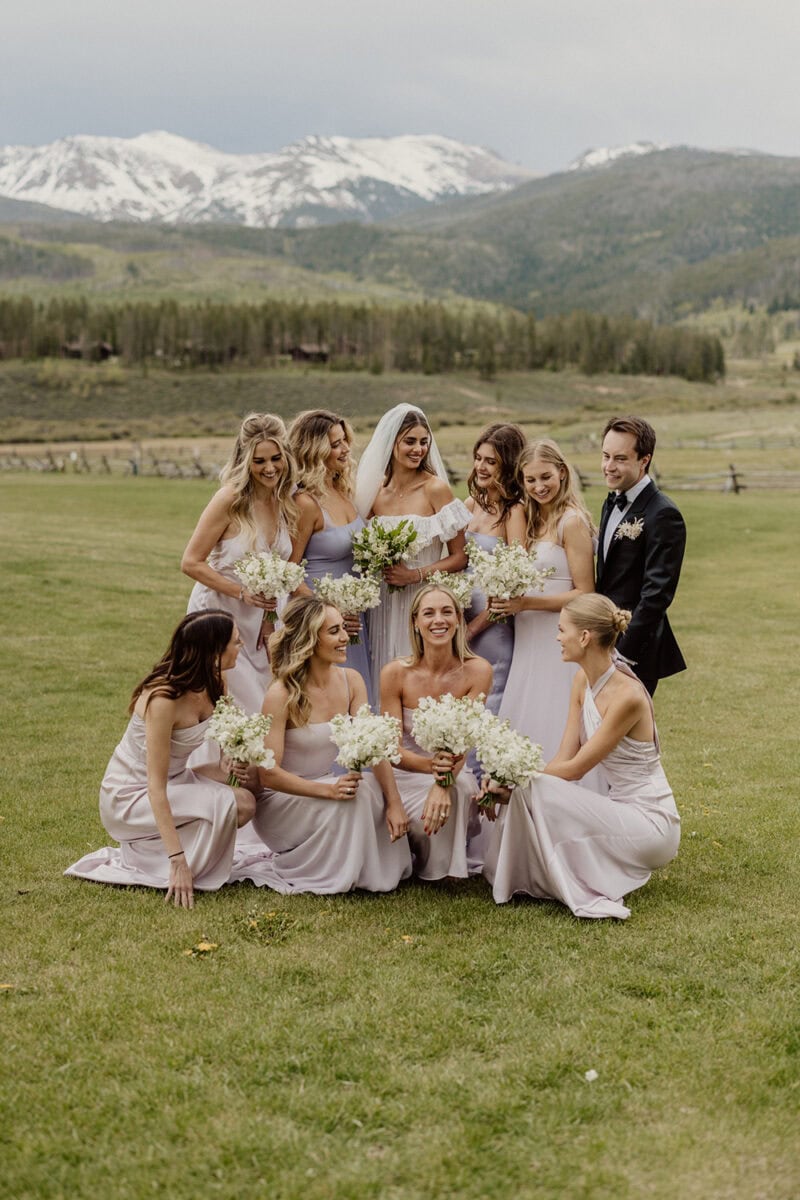 Wedding party with bridesmaids and groomsmen in a lush green field against snow-capped mountains.